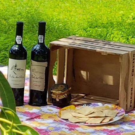 Villa Glamping Frog Farm Foz do Sousa Exterior foto