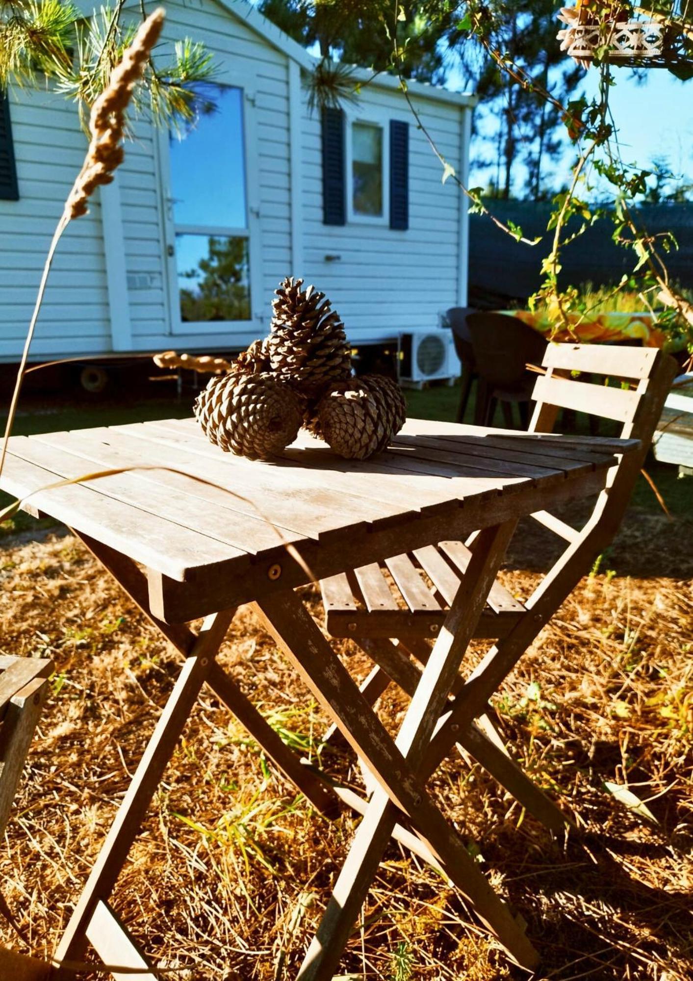 Villa Glamping Frog Farm Foz do Sousa Exterior foto