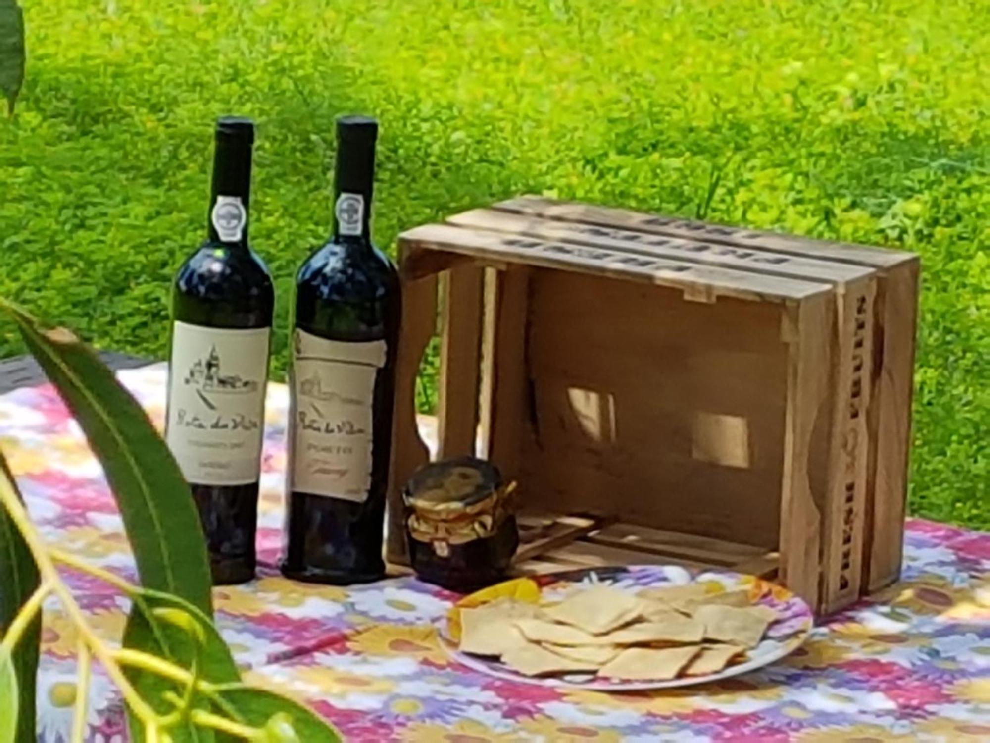 Villa Glamping Frog Farm Foz do Sousa Exterior foto