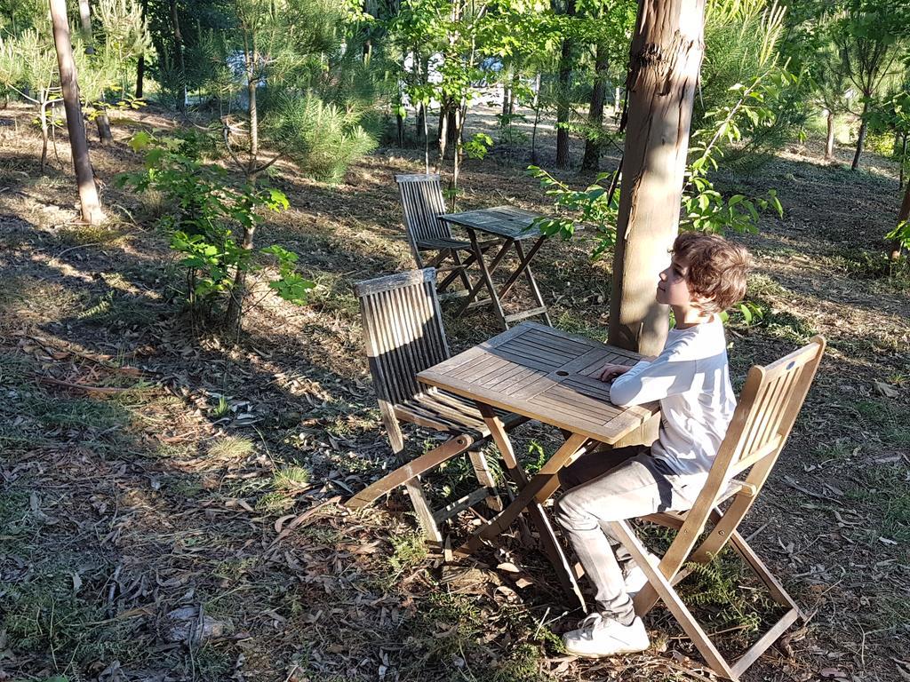Villa Glamping Frog Farm Foz do Sousa Exterior foto